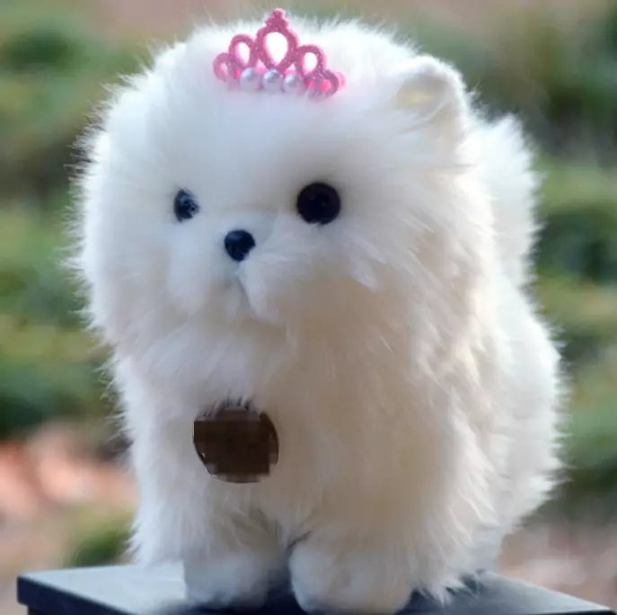 Fluffy White Pomeranian Stuffed Animal Plush Toy