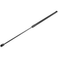NTY Gasfeder Heckklappe Passend FüR Lancia Delta III 844_ 1.4 1.6 D Multijet