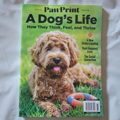 A Dog's Life: Pawprint Magazine 2026 ~ How They Think, Feel, And Thrive