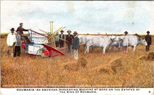 1909, FARMING, Ox Drawn Harvesting Machine on King of ROUMANIA Estates Postcard