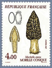 Timbre de 1987 - Nature de France - Champignons Morille conique - N° 2490