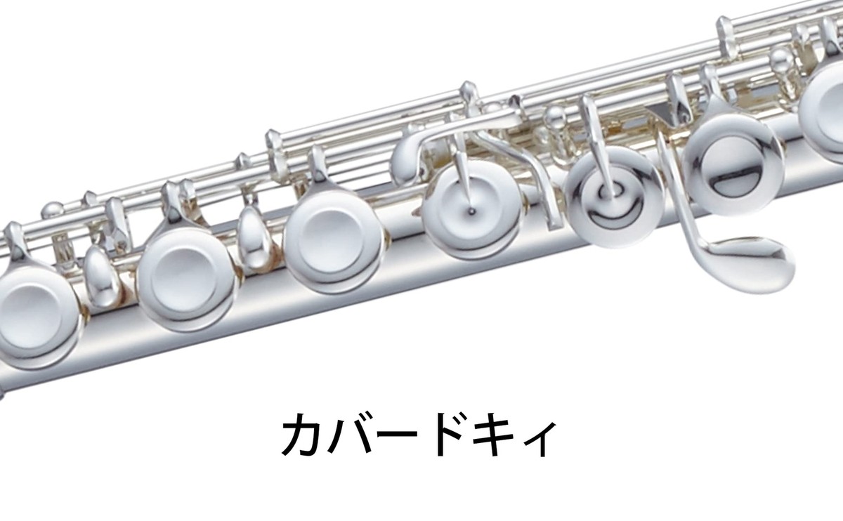 Pearl Flute Brillante Musical Instrument Pf-525E With Case Pearl Flute Brillante Musical Instrument Pf-525E With Case