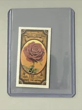 2024 Topps Allen And Ginter Rose Got The Itch Scratch & Sniff 