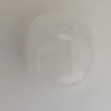 lansinoh 24mm nipple shield and case