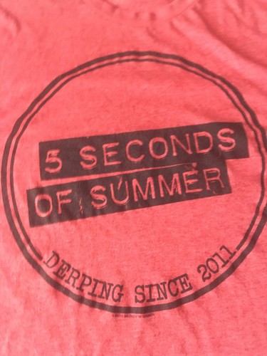5 Seconds of Summer Band T Shirt Derping Since 2011 Size Medium - Picture 3 of 10