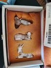 Foto 5 di 15