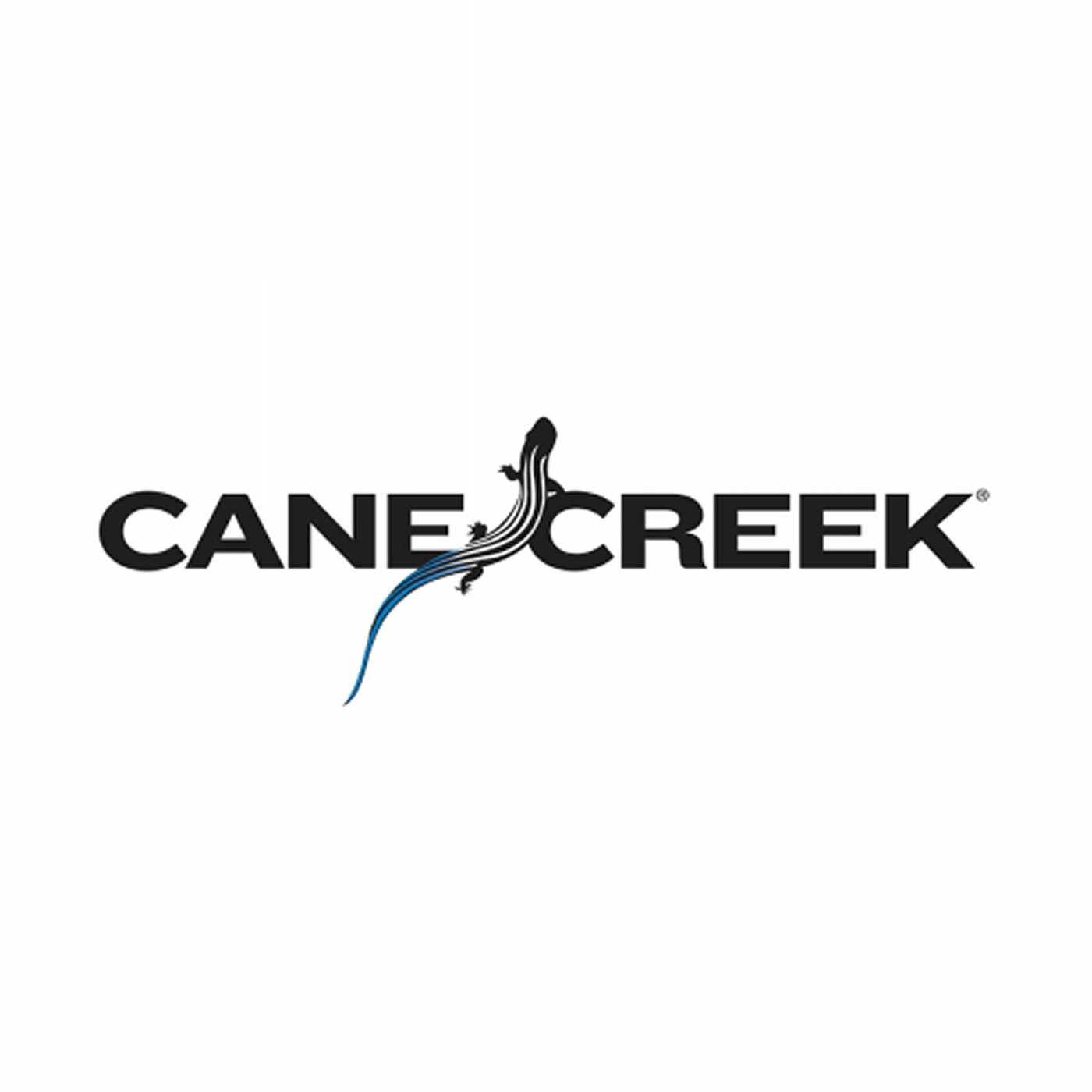 Kit nuova valvola aria db Cane creek Bici