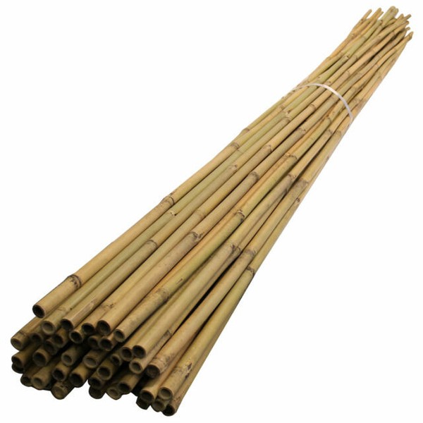 ebay garden canes