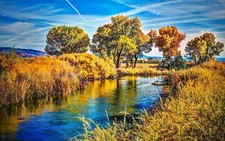 Landscape photography nature river trees shrubs hills Custom Gaming Mat Desk