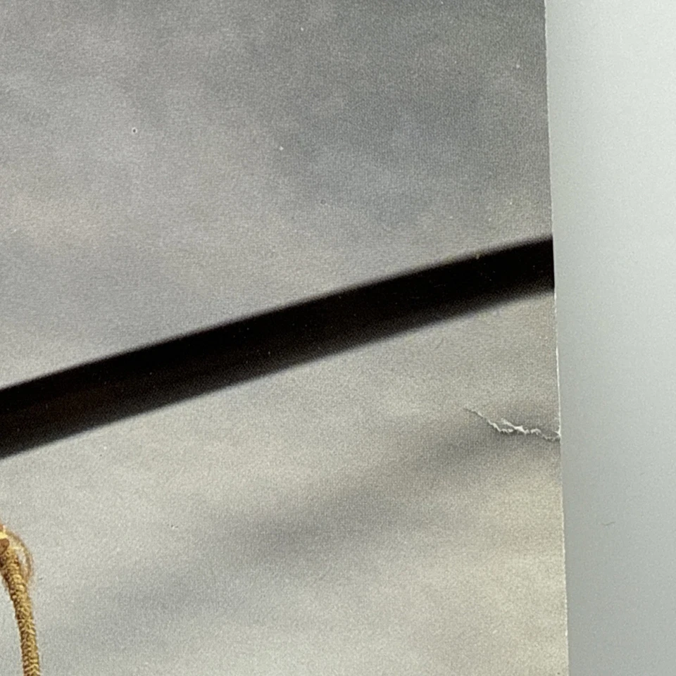 Mr. Big - Self Titled  - 1989 EURO 1st Press Album (NM-) Ultrasonic Clean - Image 2 of 4