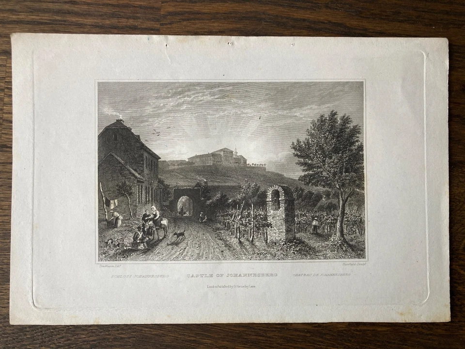 Stich "Schloss Johannesberg" am Rhein