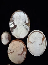 4 Pieces  Nature Shell Ladies Cameo Loose Beads