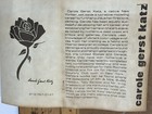 Bild 8 von 8