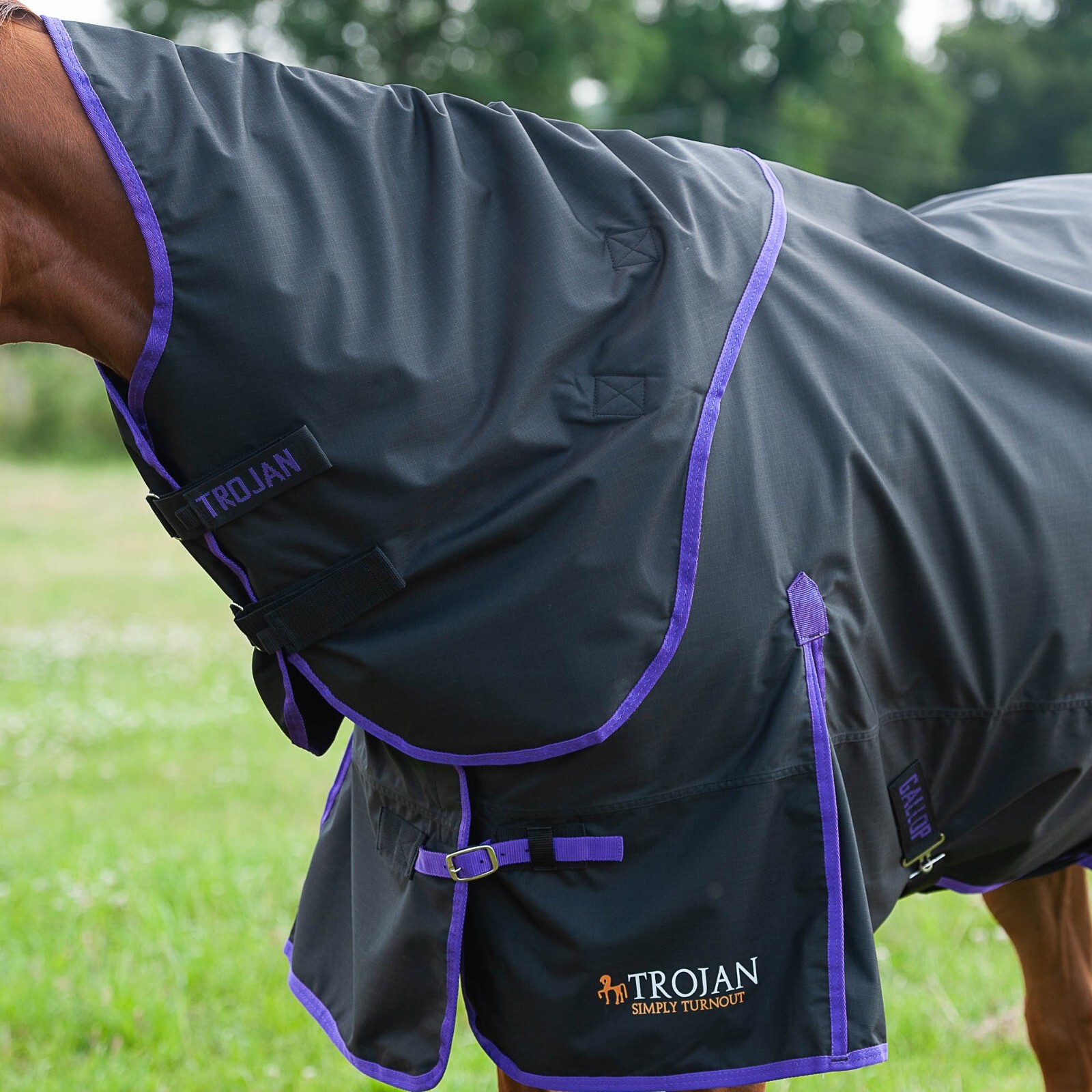 Gallop Trojan 0g Chemise De Pluie Avec Col Standard - Prix Le