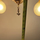 Picture 8 of 8