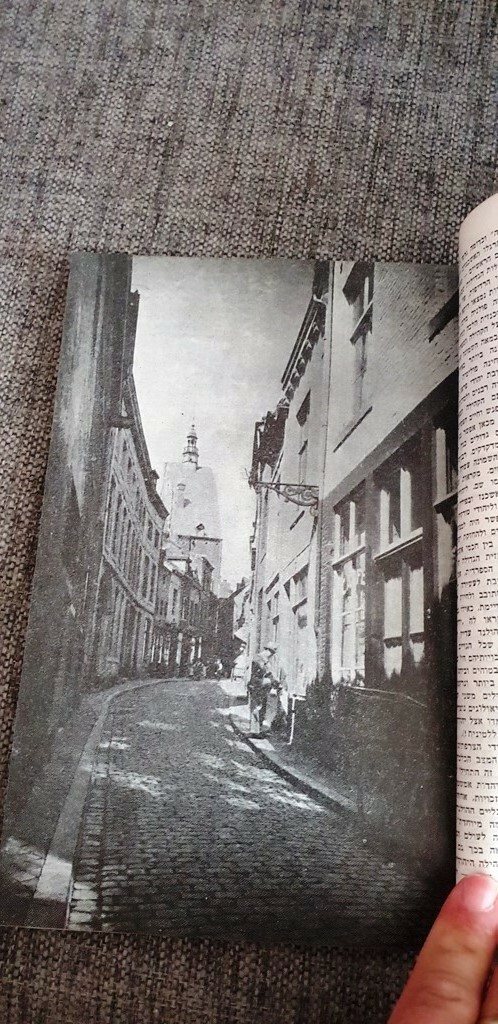 Picture 6 of 12