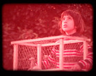 16mm Film Titled "Lost Pigeon" — photo 7