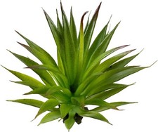 Green Amphibian Habitat Plants Resin Terrarium Reptile Plants