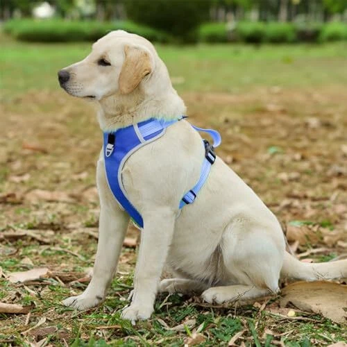 Dog Harness for Medium Dogs No Pull, Adjustable Reflective Oxford Outdoor