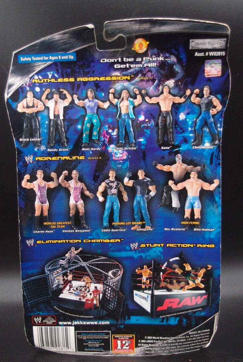 WWE Matt Hardy Action Figure Ruthless Aggression Series 7 Jakks