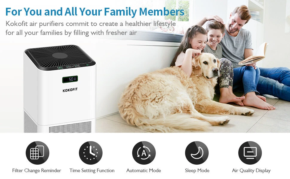 Do Air Purifiers Work for Pet Odor, Hair & Allergies? (Can They