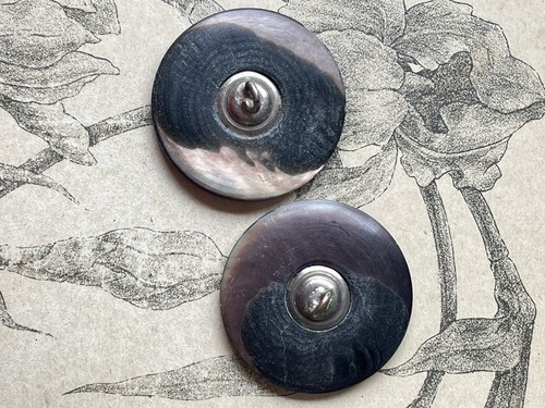 2 Superbes boutons anciens en nacre sculptée Collection French Button - Imagen 3 de 3