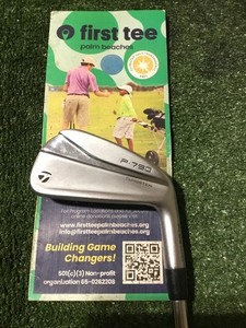 P790 4 Iron | eBay