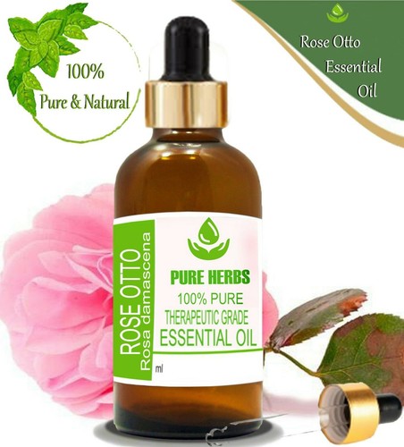 Pure Herbs Rose Otto 100% Pure & Natural Rosa damascena Essential Oil - Picture 5 of 11