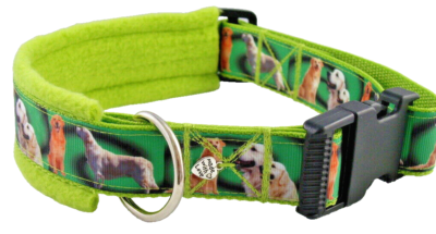 leuchtturm hundespielzeug Leuchtturm schwimmfähiges Wasserspielzeug – Martin Rütter SHOP