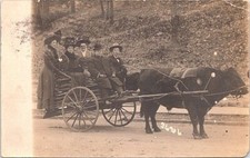 RPPC Hot Springs Arkansas Tourists in Suits & Dresses on Bull Wagon 1909