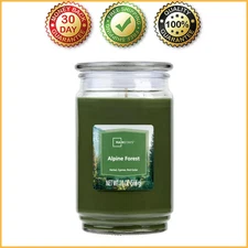Mainstays Alpine Forest Scented Single-Wick Glass Jar Candle, 20 oz New