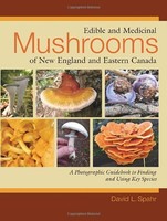 Edible And Medicinal Mushrooms Of England And Eastern Canada By David L. Spa on sale Edible And Medicinal Mushrooms Of England And Eastern Canada By David L. Spa on sale