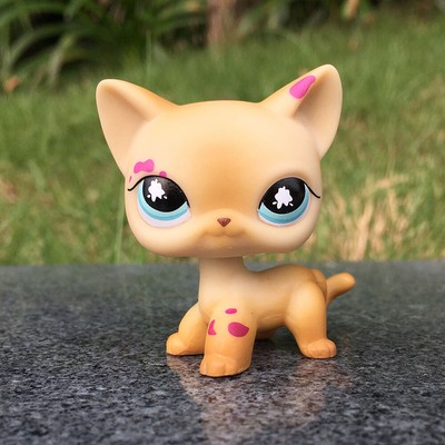Littlest Pet Shop LPS 816 Shorthair Cat Gift For Kid Splatter Paint