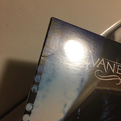 Evenescence Fallen Clear Smoke Vinyl - Picture 3 of 4