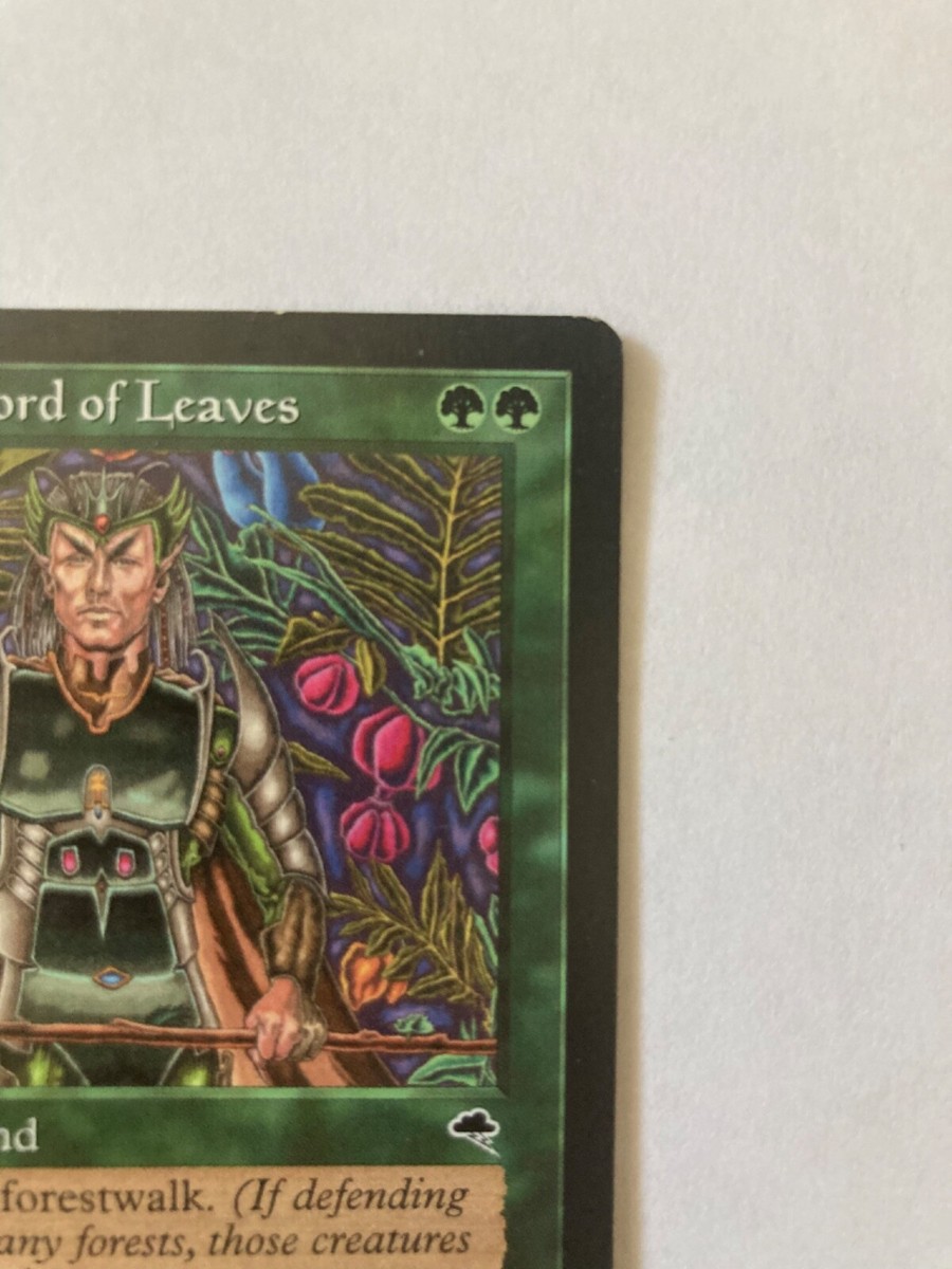 Eladamri Lord of Leaves／葉の王エラダムリー(英語版2枚) Eladamri, Lord of Leaves Tempest MTG NM-MINT Unplayed 1997 | eBay