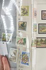 Picture 9 of 24