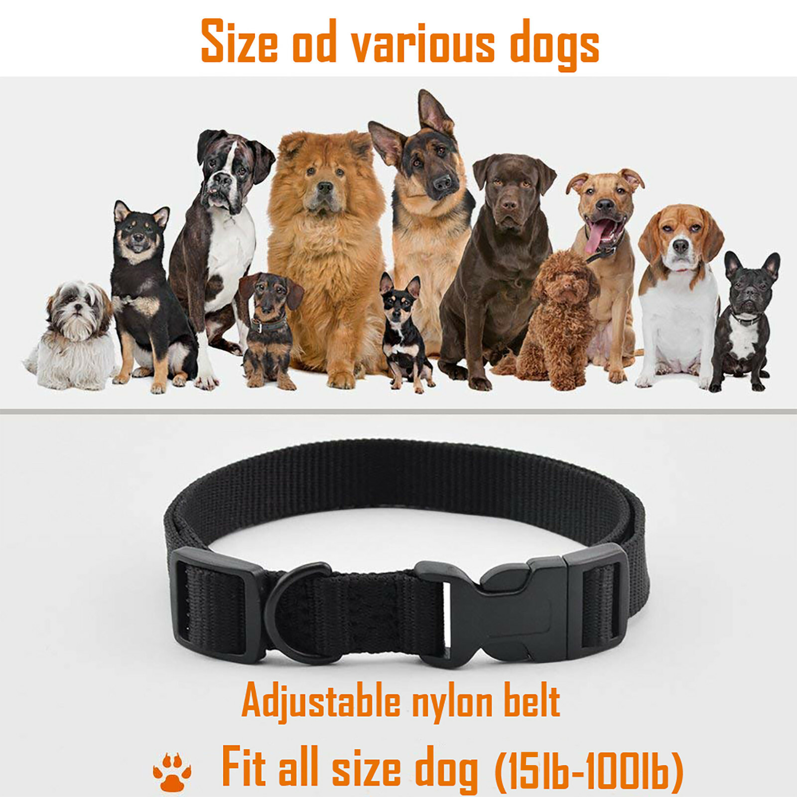 funshion shock collar