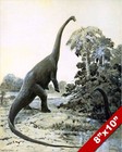Diplodocus Longus Large Dinosaur Feeding On Palm Painting Art Real Canvas Print