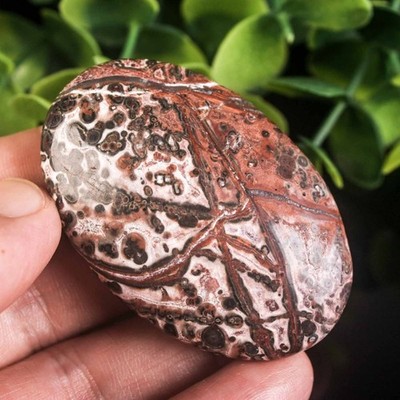 37g 55mm Leopard Skin Jasper Palm Stone Natural Crystal Healing Worry Stone Gift