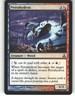Petrahydrox - Guildpact - MTG - Common - #148 - NM