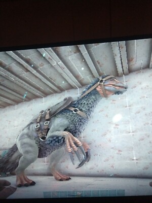 ark survival evolved