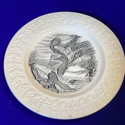 Teller John James Audubon The Birds Of America Leinwandrücken Ente 26,5 cm 10,5 inch