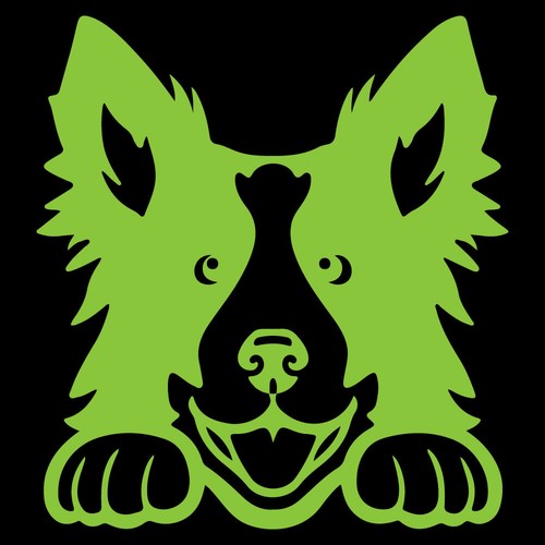 5" PEEKING BORDER COLLIE Vinyl Decal Sticker Car Window Dog Puppy Rescue Pet - Picture 11 of 24