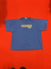 Early 2000s Florida Gators Distressed Shirt – Vintage College Football Tee