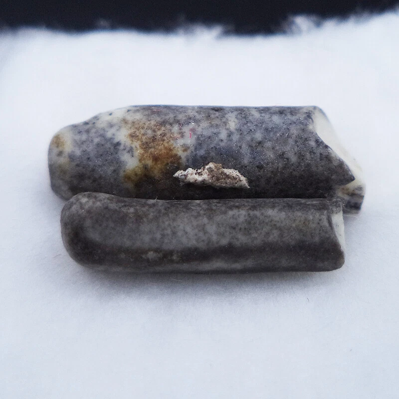 SARIRA PRA TATH MONJE AONG-KU-LI-MA-LA DRAGÓN CUEVA BUDA RELIQUIAS AMULETO TAILANDÉS Nº2 Foto 4 de 4