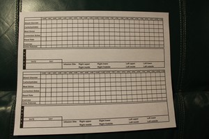 diabetic log