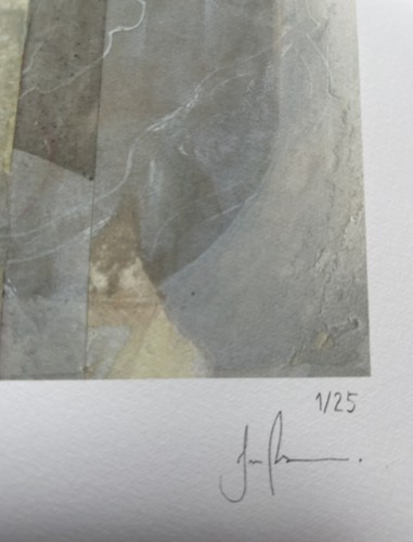 Joao Ruas “Haunted #20” Print Signed & Numbered - Picture 3 of 4
