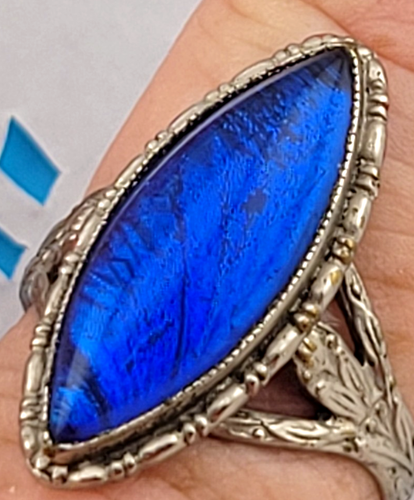 Antiker blauer Morpho Schmetterlingsflügel Ring Größe 7 Made in England Aluminium