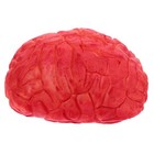 1Pc Halloween Prop Scary Fake Organ Human Brain Body Parts for Halloween Party A