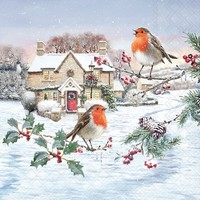 20 Servietten Birdy Village Rotkehlchen VöGel Tiere Winterhaus Weihnachten 33X33